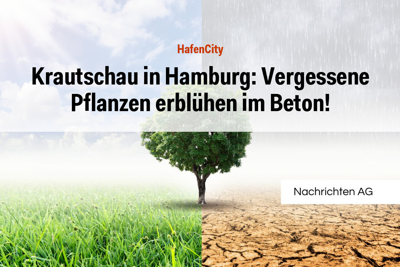 Krautschau in Hamburg: Vergessene Pflanzen erblühen im Beton!