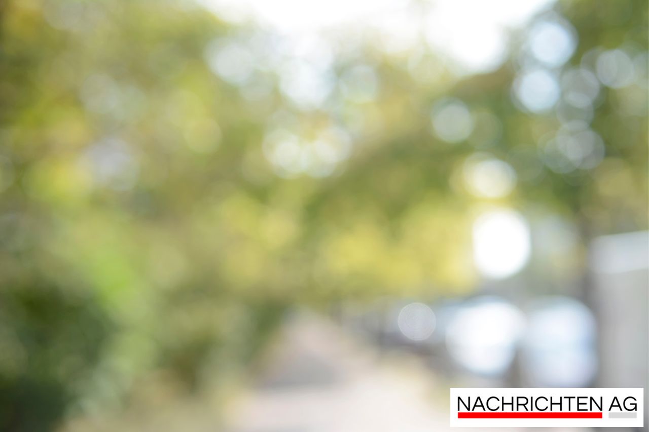 Dioxin-Skandal: Boberger Dünen werden endlich saniert!