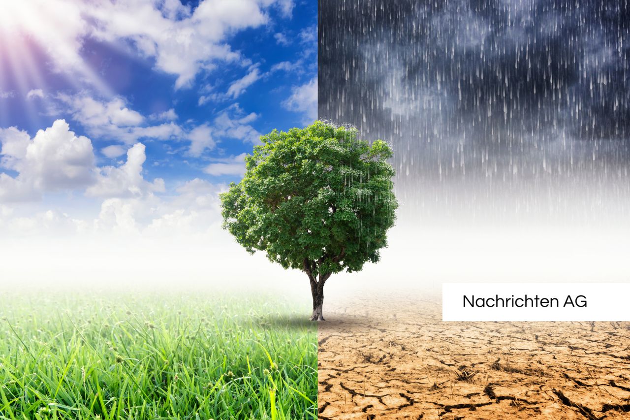 Gemeinsam gegen den Klimawandel: Neustadt setzt auf Radfahren!