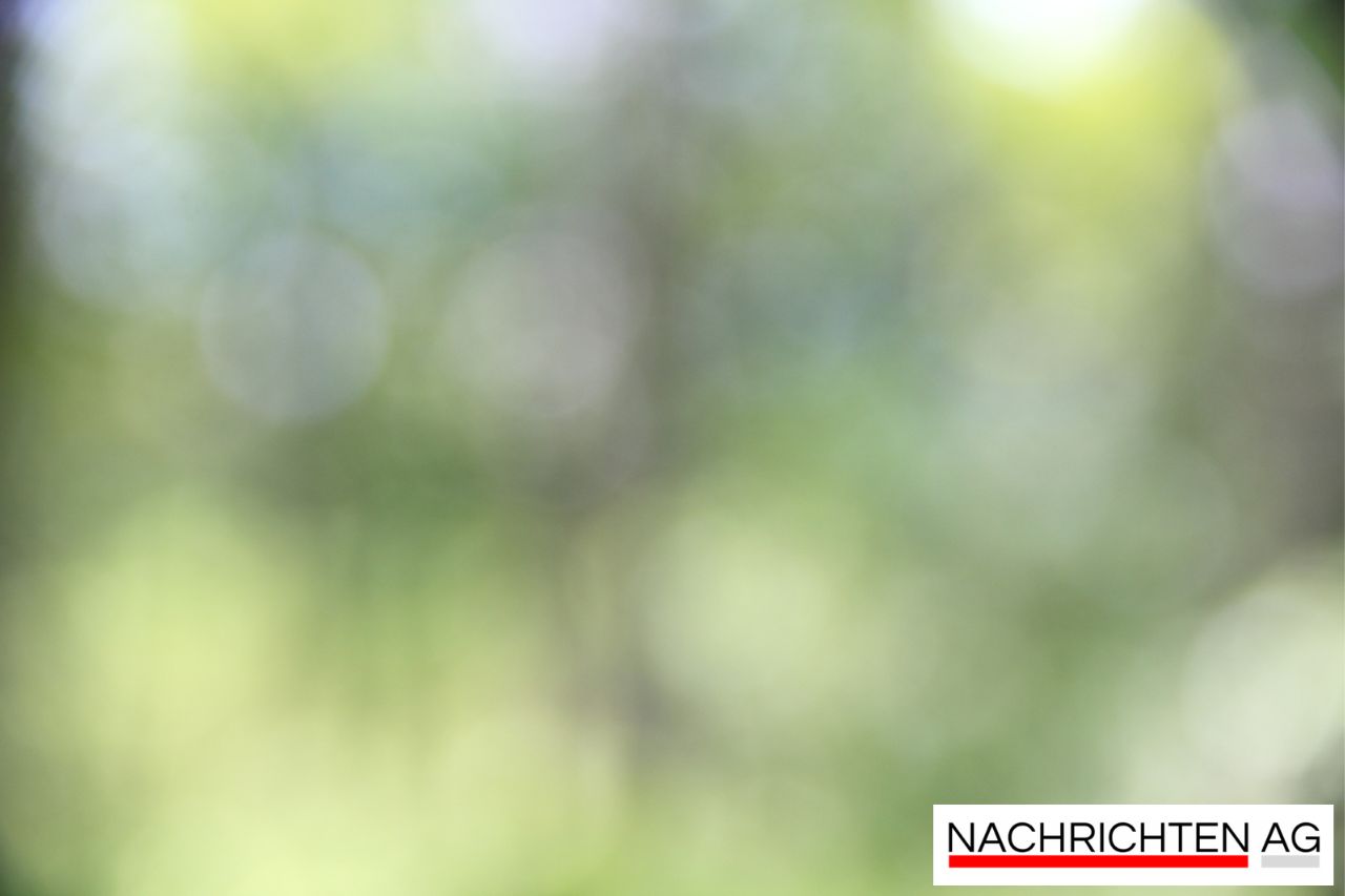 Feinstaub-Chaos in Hamburg: Luftqualität erreicht alarmierende Werte!